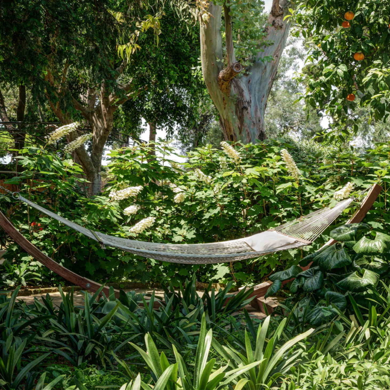 Dettaglio relax nel parco RID